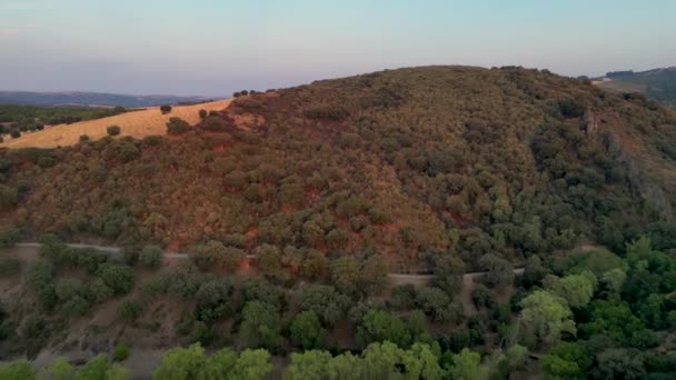 Растительная Долина Возле Кастильо Темплирио Альба Алисте Лосачино Замора Испания — стоковое видео