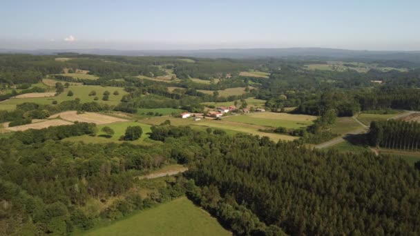 Green Forest Trees Landscape Small Village Remote Countryside Aerial Wide — Vídeos de Stock