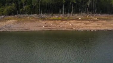 İspanya, Lago 'daki Tanguil Gölü yakınlarındaki ormanda devrilmiş ağaç gövdesi yığını. Hava Aracı Görüntüsü