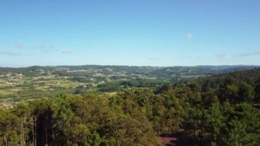 Arteixo, La Coruna, İspanya 'daki Idyllic kırsal köyünü ortaya çıkaran bereketli ağaç ormanının üzerinden uç. Hava Aracı Görüntüsü