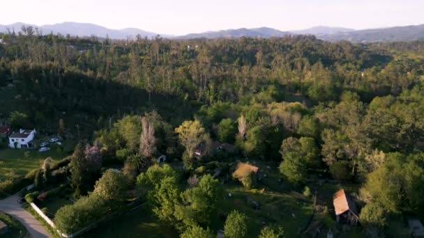 Vista Panorámica Una Campiña Con Exuberante Paisaje Natural Salvaterra Verona — Vídeo de stock