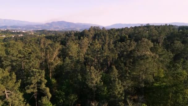 イタリア ヴェローナ サルヴァテラ近くの山々にある豊富な木の森 エアリアルドローンショット — ストック動画