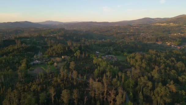 Vista Del Paesaggio Verde Della Natura Villaggi Rurali Colpo Aereo — Video Stock