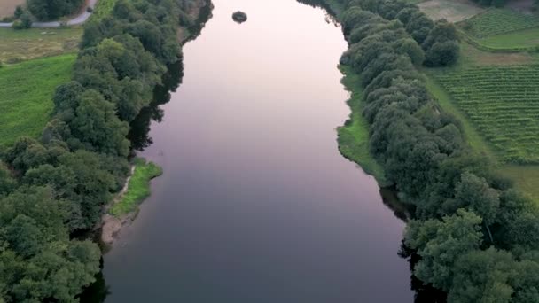 Fluss Mit Dichter Vegetation Der Landschaft Drohnenschuss Aus Der Luft — Stockvideo