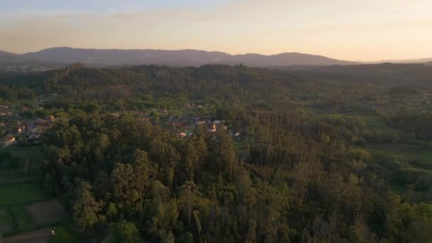 Légi Kilátás Sűrű Erdő Nea Salvaterra Village Naplementekor Olaszországban — Stock videók