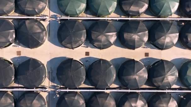 Overhead View Stolt Sea Farm Cages Camarias Corua Spanien Antenn — Stockvideo