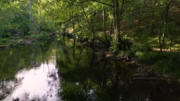 Lago Prístino Con Reflexiones Refugio Verdes Corua España Amplio Tiro — Vídeo de stock
