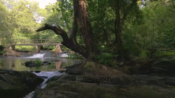 西班牙科洛瓦州科洛科市弗尔德斯难民河上有一座小桥 静谧的大自然 后撤射中 — 图库视频影像