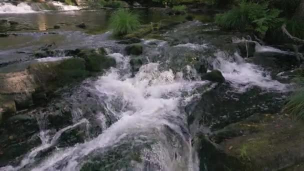 托伦特在西班牙科鲁亚的弗尔德斯庇护所的昂恩斯河上的莫西岩石上 静态射击 — 图库视频影像