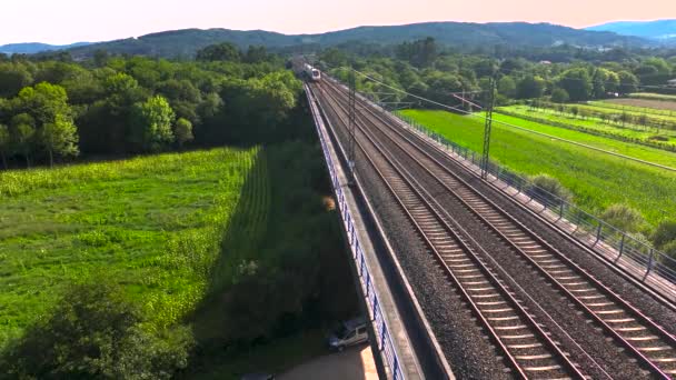 Ferrovia Com Trem Viajando Trilhas Sobre Paisagem Rural Verde Padrn — Vídeo de Stock