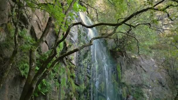 Fervenza Augacada Bosque Tropical Con Cubierta Observación Madera Pantn Lugo — Vídeo de stock