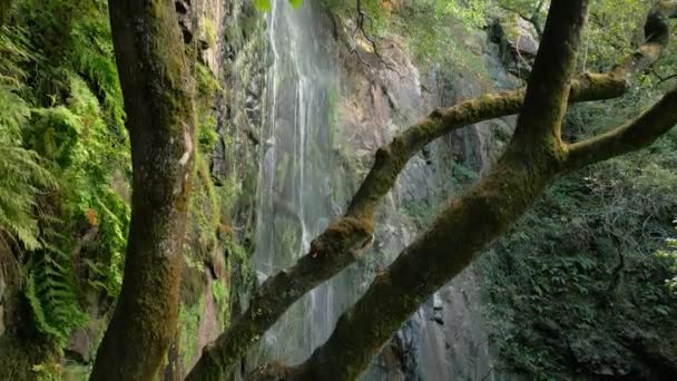 Mossy Trees Aguacaida Waterfall Panton Lugo Spain Ascenso Aéreo — Vídeo de stock