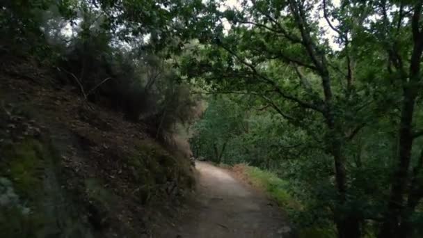 Wanderwege Der Nähe Von Fervenza Augacada Pantn Lugo Spanien Dolly — Stockvideo