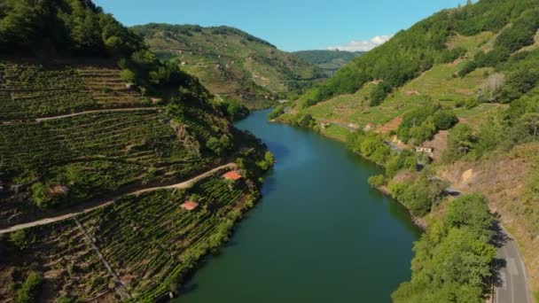 Αεροφωτογραφία Του Ποταμού Minho Μεταξύ Των Βουνών Στο Lugo Ισπανία — Αρχείο Βίντεο