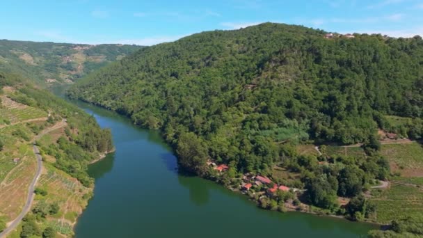 Pueblo Costero Montañas Boscosas Belesar Lugo Galicia España Aerial Drone — Vídeos de Stock
