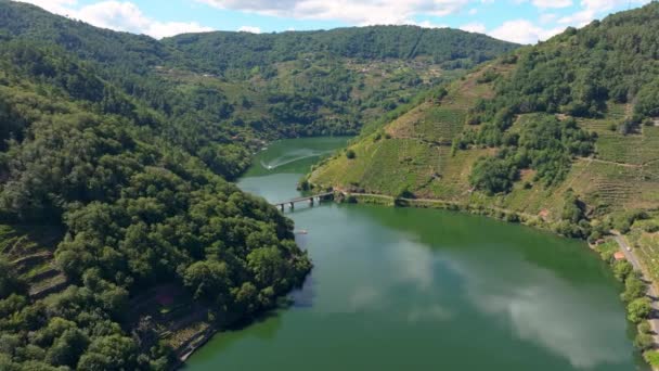 西尔河与梯田的贝塞萨尔桥夏季在西班牙加利西亚卢戈贝塞市 空降飞行员中枪 — 图库视频影像