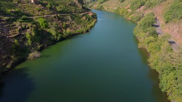 位于西班牙加利西亚卢戈Ribeira Sacra的Minho河与葡萄园和村庄的宁静景观 空中射击 — 图库视频影像