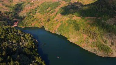 Belesar Köyü 'ndeki yoğun ormanlar ve üzüm bağları, Lugo, Galiçya, İspanya' daki Ribeira Sacra. Hava Aracı Görüntüsü 