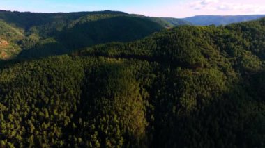 İspanya, Galiçya 'da Belesar yakınlarındaki Ribeira Sacra' daki yoğun ormanlarla kaplı dağlar. Hava Görüntüsü