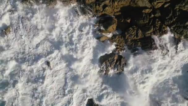 頑丈な海岸線を破壊するファミリー波のトップビュー アリアルショット — ストック動画