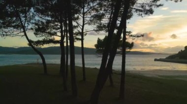 İspanya, Coruna 'da, Ponteceso, Coruna' da güneş doğarken Corme Denizi 'ndeki siluetli ağaçlar. Geniş Görüntü