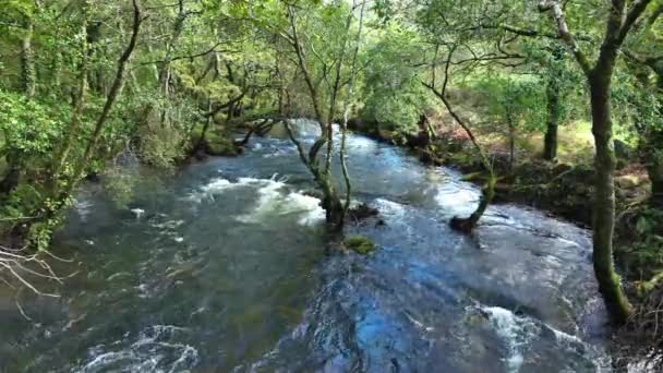 Carballeira Municipal Baio Hiking Area Flowing River Coruna Spain Wide — Stock Video