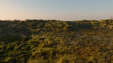 Grassy Sand Dunes Laxe Sahili, A Corua, Galiçya, İspanya 'yı gözler önüne serdi. Hava Aracı Görüntüsü