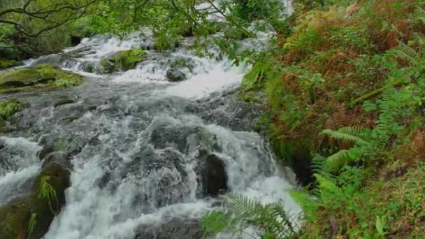 White Water Rushing Rocks Wilderness River Slow Motion — Stock Video