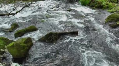İspanya 'nın La Coruna kentindeki Parga Nehri' ndeki Yağmur Ormanı 'nda Akıntılı Kayalar. Yavaş Hareket