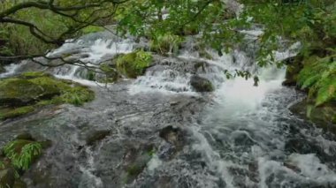 İspanya 'daki Tropikal Orman' da Parga Nehri Kayaların Üzerinden Akıyor. Yavaş Hareket