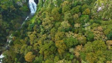 Miradoiro Fervenza do Toxa 'daki yemyeşil orman dağları Silleda, Pontevedra, İspanya. 