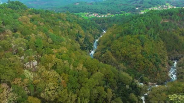 Τροπικά Βουνά Πυκνά Καλυμμένα Δάση Στον Ποταμό Toxa Στην Pontevedra — Αρχείο Βίντεο