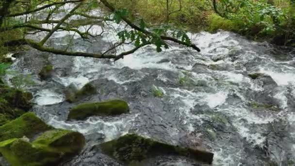 View Huge River Stream Water Rushing Mossy Rocks Slow Motion — Stock Video