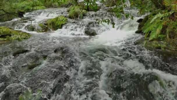 River Rushing Forest Mountain Tropical Nature Slow Motion — Stock Video
