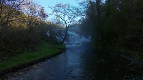 スペインのコルナで霧の朝の間にサンタコムバ滝と森の川 アリアルフォワードショット — ストック動画