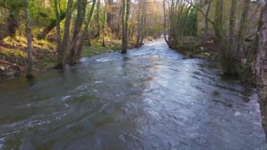 İspanya, Coruna 'da Sonbahar Ormanı' ndan akan nehir. İHA atışı