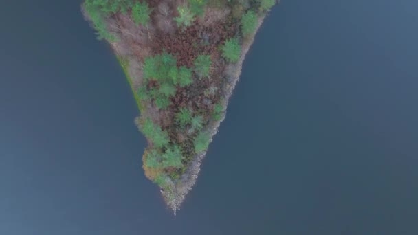 스페인 코루나에 리베이라 저수지의 해안에 나무의 — 비디오