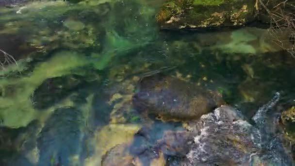 Agua Clara Del Río Arcos Fluyendo Través Las Cascadas Noveira — Vídeo de stock