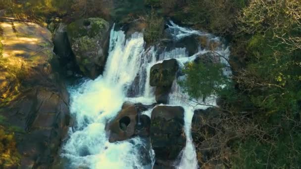 Ohromující Vodopády Tropickém Lese Fervenza Noveira Přírodní Rezervace Corua Španělsko — Stock video