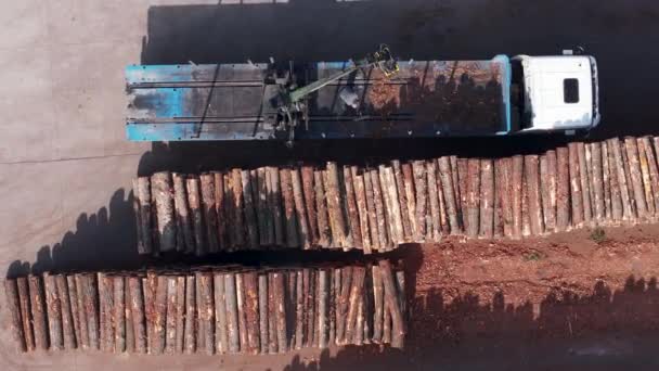 Sawmill 공장에 내리기 평상형 떨어져 Sawdust 노동자 Topdown — 비디오