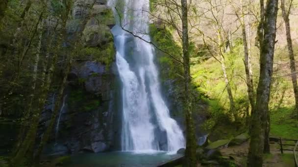 Atemberaubende Seimeira Vilagocende Wasserfälle Der Nähe Von Fonsagrada Der Provinz — Stockvideo