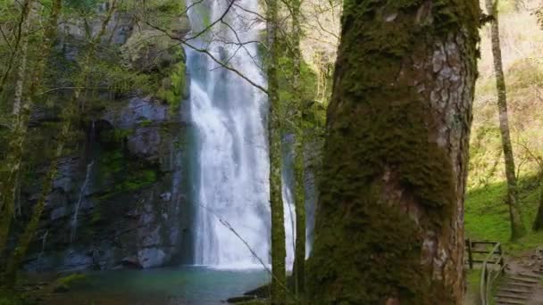 Der Seimeira Vilagocende Wasserfall Stürzt Einen Natürlichen Pool Wald Fonsagrada — Stockvideo