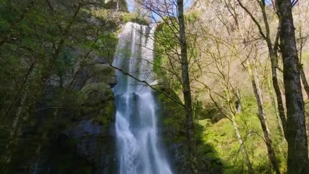Seimeira Vilagocende Waterfall Στον Ποταμό Portelia Στο Vilagocende Fonsagrada Lugo — Αρχείο Βίντεο