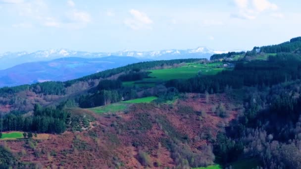Luftaufnahme Des Dichten Waldes Den Bergen Fonsagrada Lugo Galizien Spanien — Stockvideo