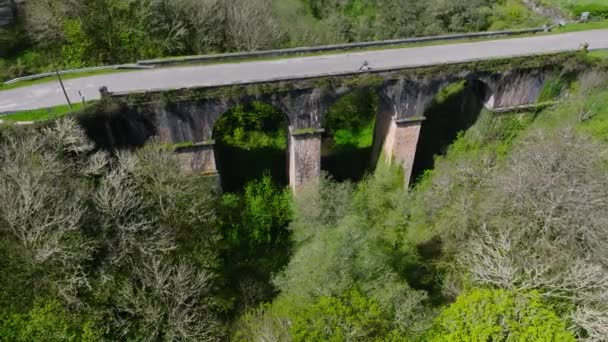 Cruzul Brücke Über Den Naron Fluss Mit Überwachsenem Laub Becerrea — Stockvideo