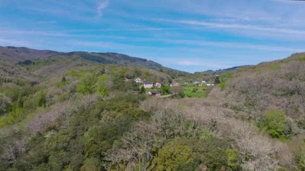 Über Bäume Fliegen Mit Blick Auf Das Dorf Cruzul Becerrea — Stockvideo