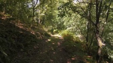 Galiçya, İspanya 'daki Castro Caldelas yakınlarındaki Vahşi Orman' da yollar. Doli Vuruşu