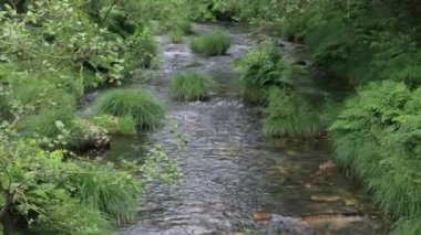 Lugar Os Navallos, Lugo, İspanya 'daki Porto Köprüsü' nün yanında yeşil çim segleri olan tatlı su nehri. Hava Görüntüsü