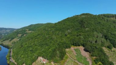 İspanya, Galiçya 'nın Lugo eyaletindeki O Saviao kasabasında yoğun biçimde korunan dağlar. Hava Aracı Görüntüsü