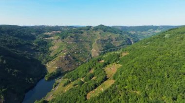 Galiçya 'nın Lugo ilindeki O Saviao Concello' da dik, gür dağlar. Hava Görüntüsü